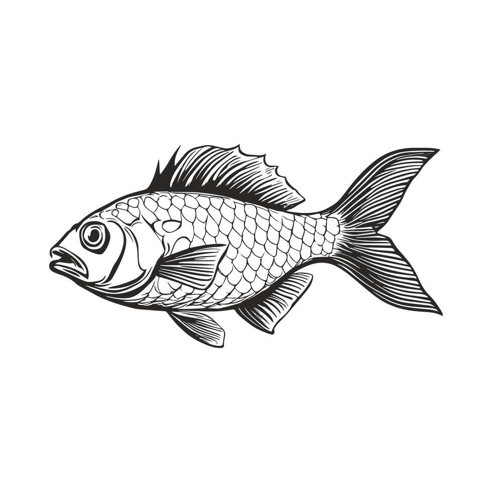 retro vintage fish sketch engraving drawing vector