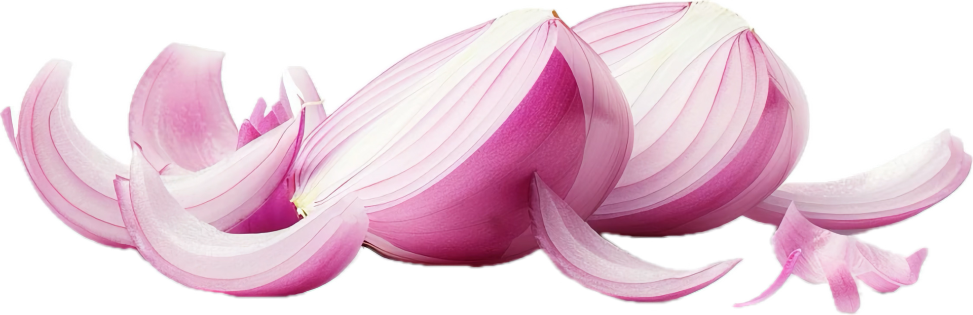 Close-Up of Sliced Red Onion Layers png