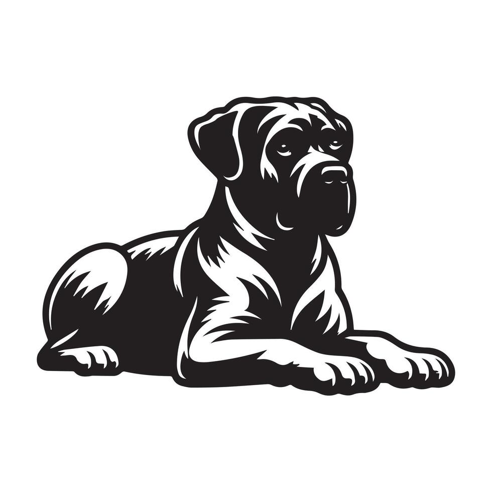 Relaxed Cane Corso dog Illustration in black and white vector