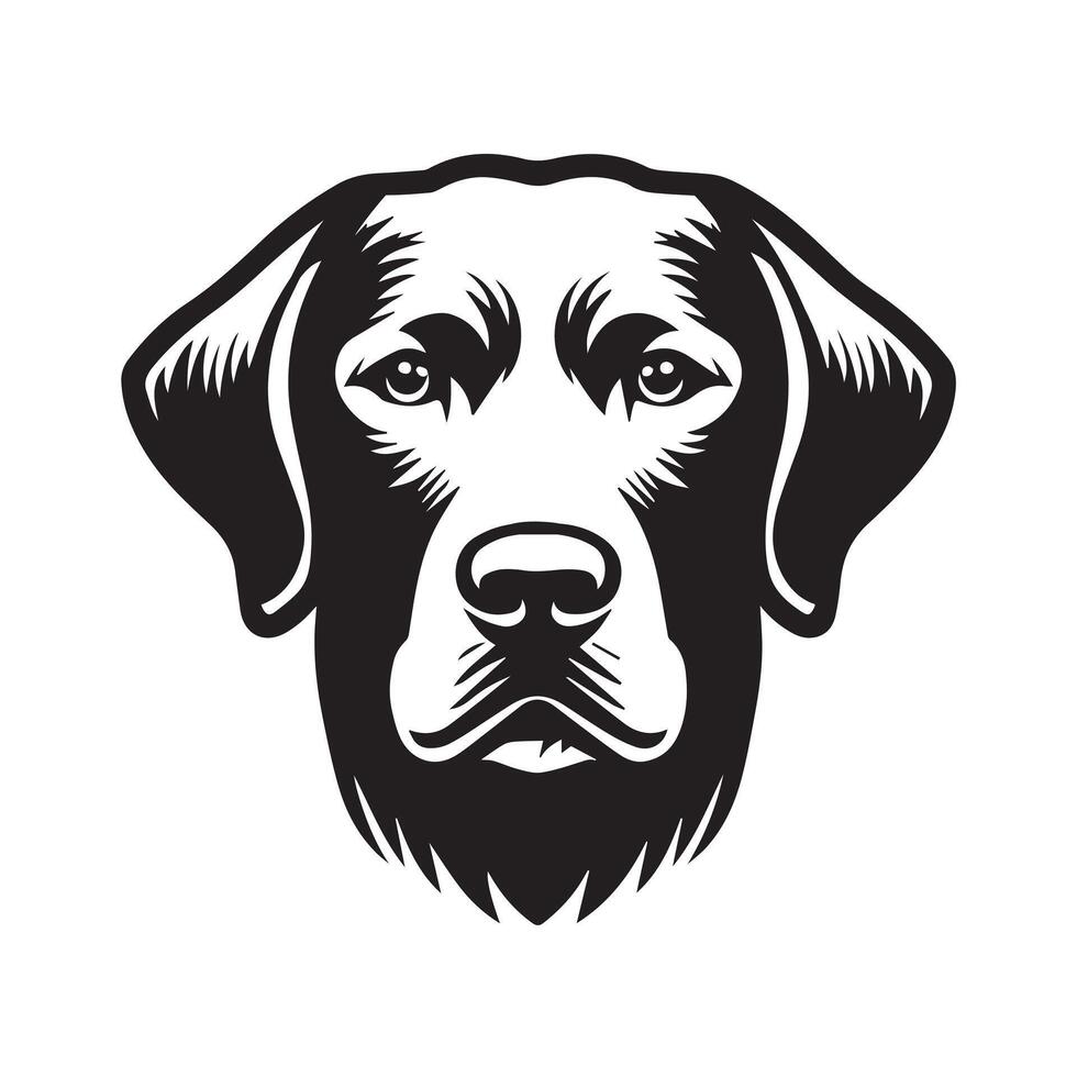 A Pensive Chesapeake Bay Retriever Dog Face Illustration in black and white vector