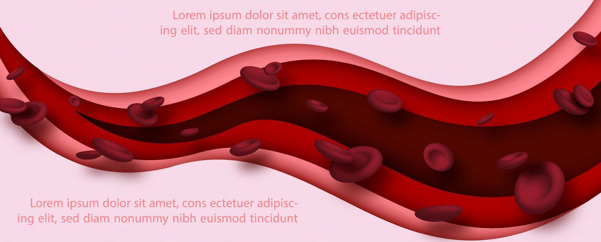 Red blood cells in 3d style with abstract layers shape in paper cut style, example texts on red background. vector