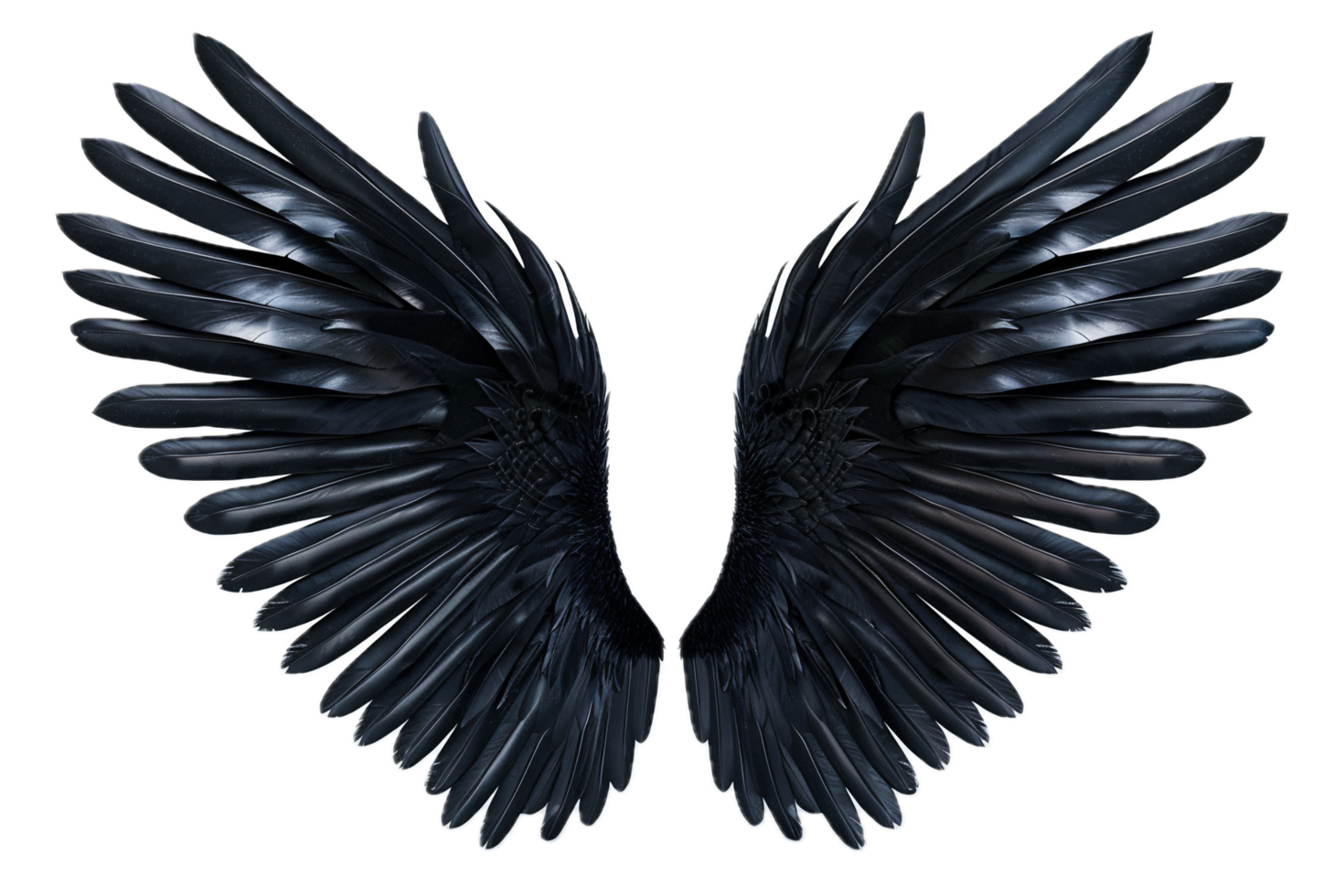 Black Feathered Angel Wings. png