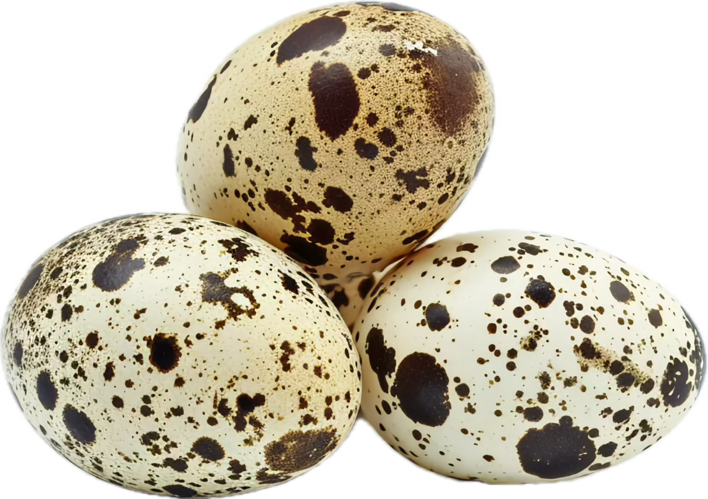 Close-up of Pile of Quail Eggs. png