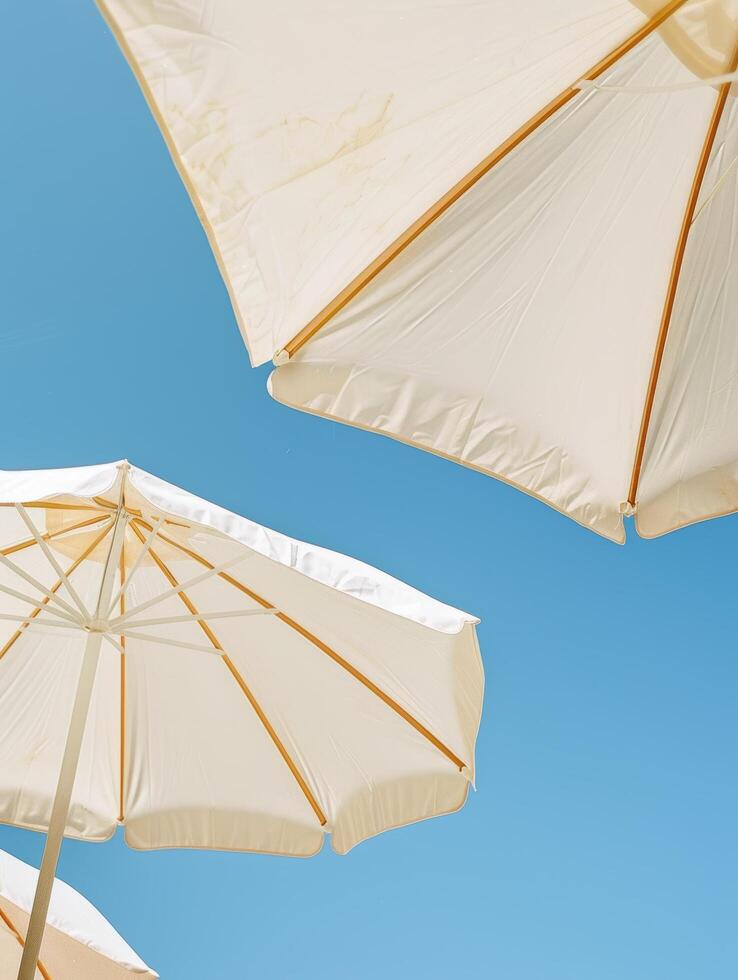 Two White Umbrellas on Sandy Beach photo