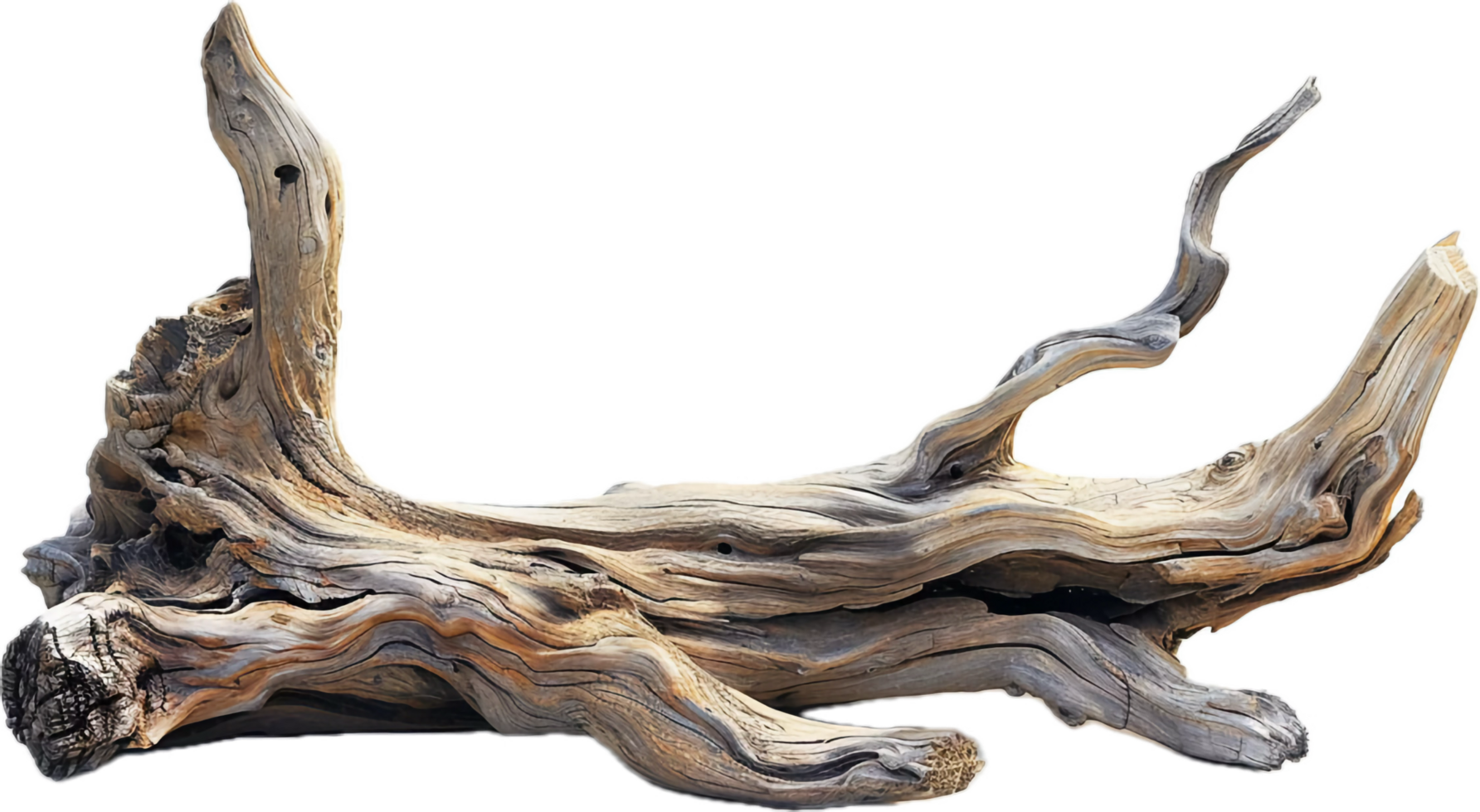 Weathered Driftwood Log. png