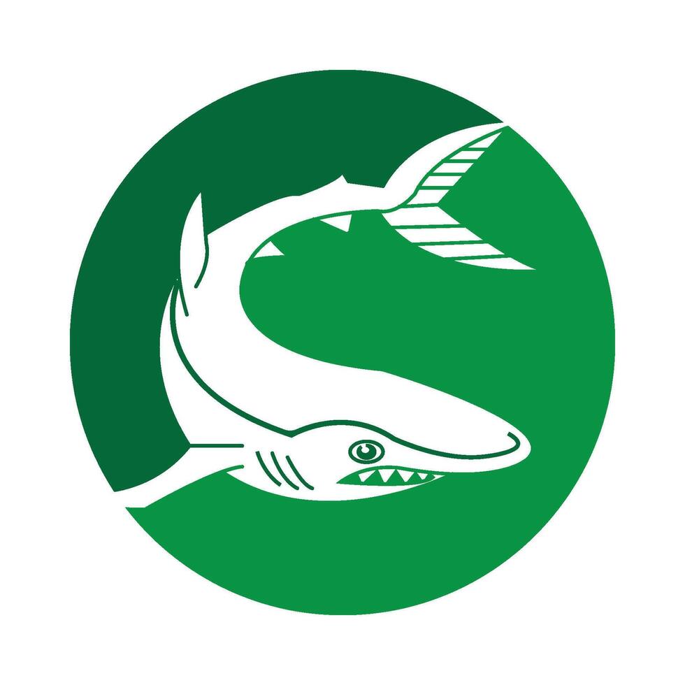 shark icon design vector