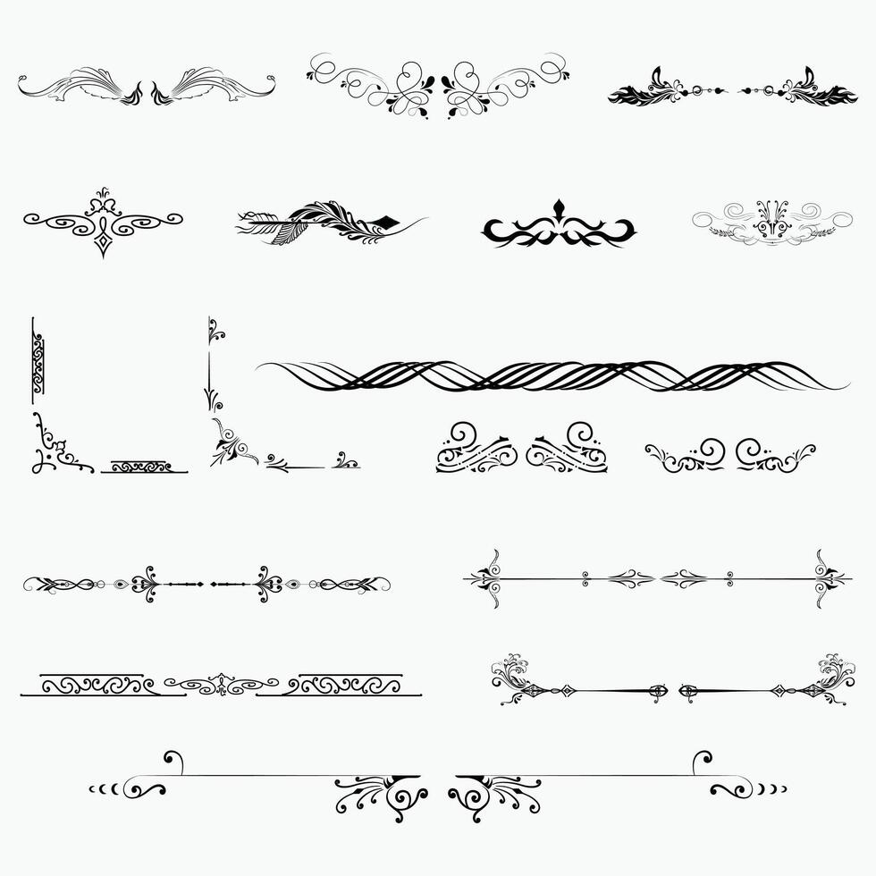 Decorative vintage Elements with borders white Background vector