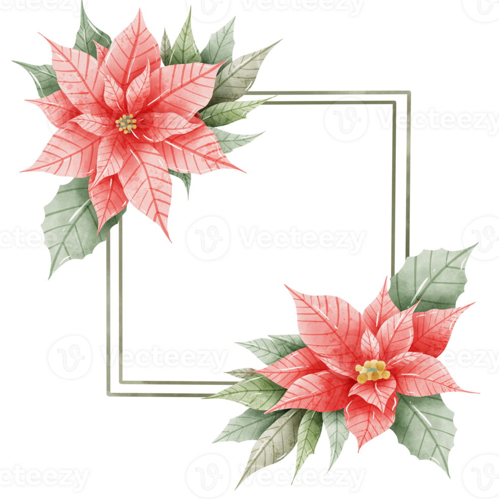 Watercolor Hand drawn illustration Christmas compositions with poinsettia flowers Frame for holiday invitation, card design clipart print new year decor for print, label, invitation design png