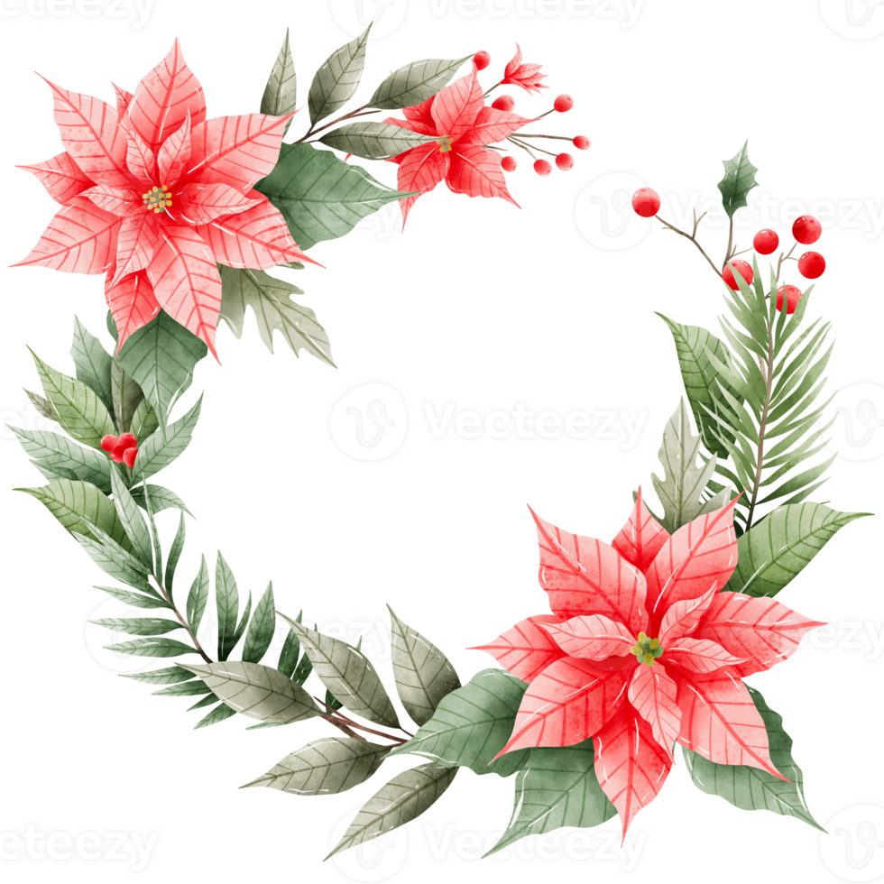 Watercolor Hand drawn illustration Christmas compositions with poinsettia flowers wreath for holiday invitation, card design clipart print new year decor for print, label, invitation design png
