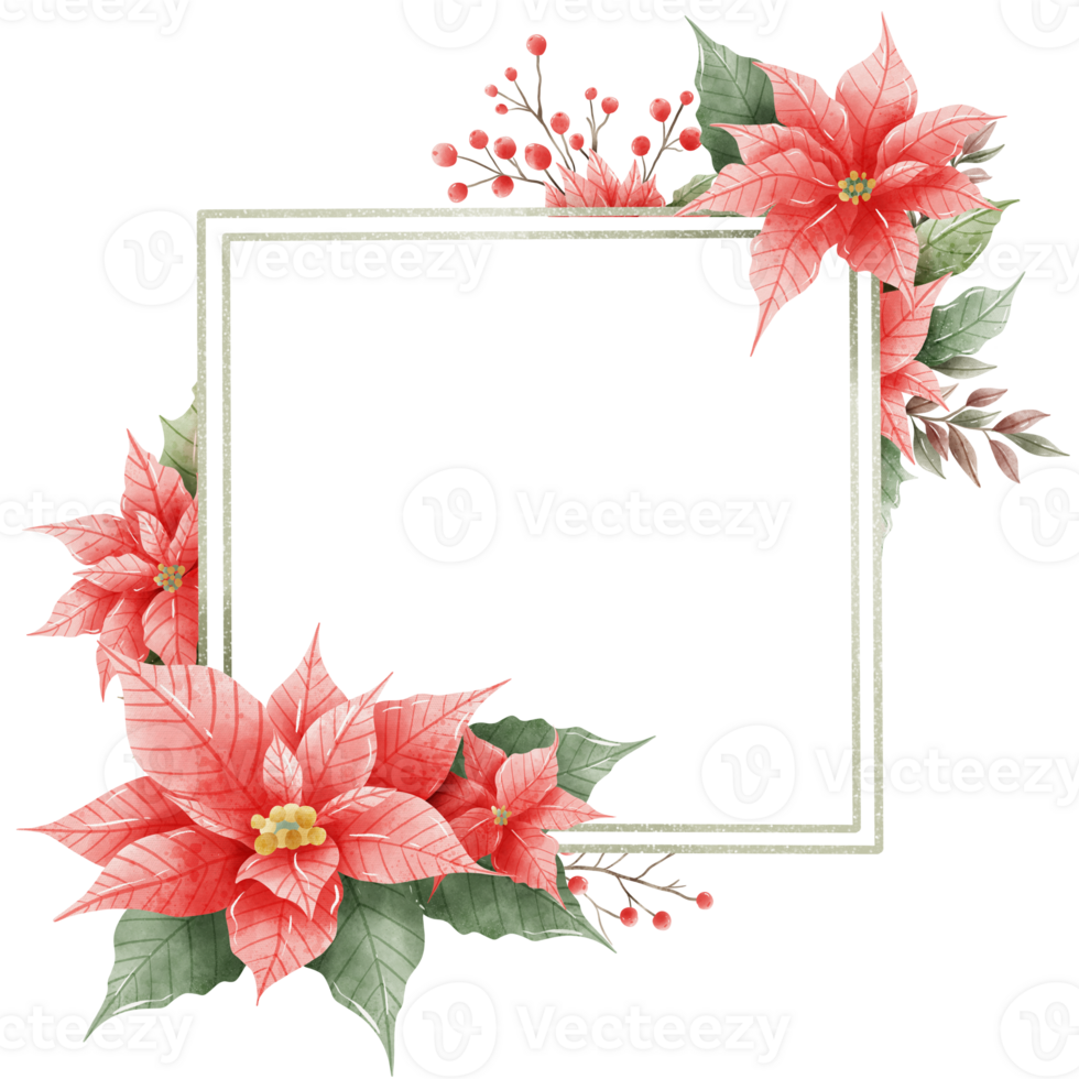Watercolor Hand drawn illustration Christmas compositions with poinsettia flowers Frame for holiday invitation, card design clipart print new year decor for print, label, invitation design png