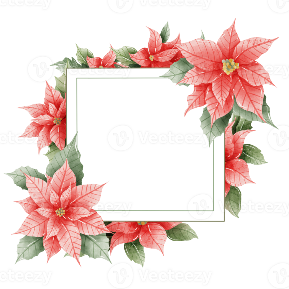 Watercolor Hand drawn illustration Christmas compositions with poinsettia flowers Frame for holiday invitation, card design clipart print new year decor for print, label, invitation design png