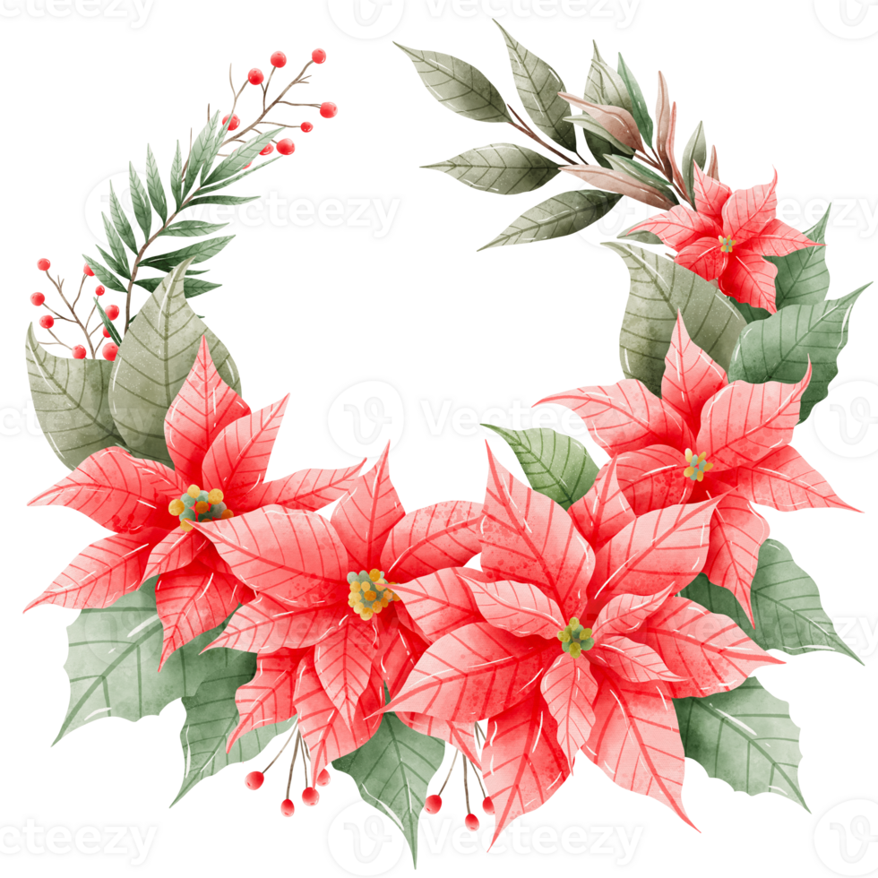Watercolor Hand drawn illustration Christmas compositions with poinsettia flowers wreath for holiday invitation, card design clipart print new year decor for print, label, invitation design png