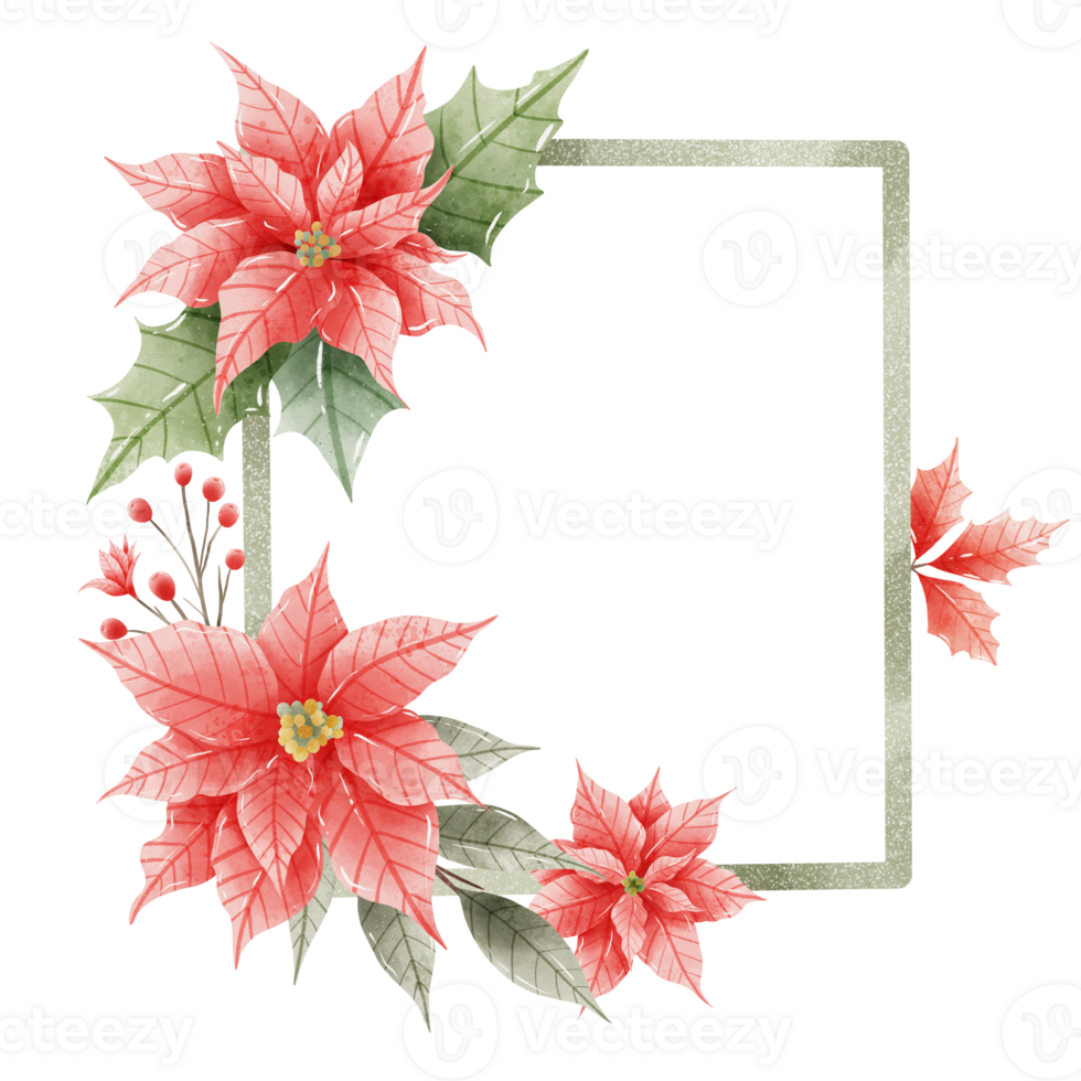 Watercolor Hand drawn illustration Christmas compositions with poinsettia flowers Frame for holiday invitation, card design clipart print new year decor for print, label, invitation design png