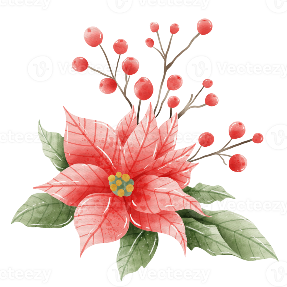 Watercolor Hand drawn illustration Christmas compositions with poinsettia flowers bouquet for holiday invitation, card design clipart print new year decor for print, label, invitation design png
