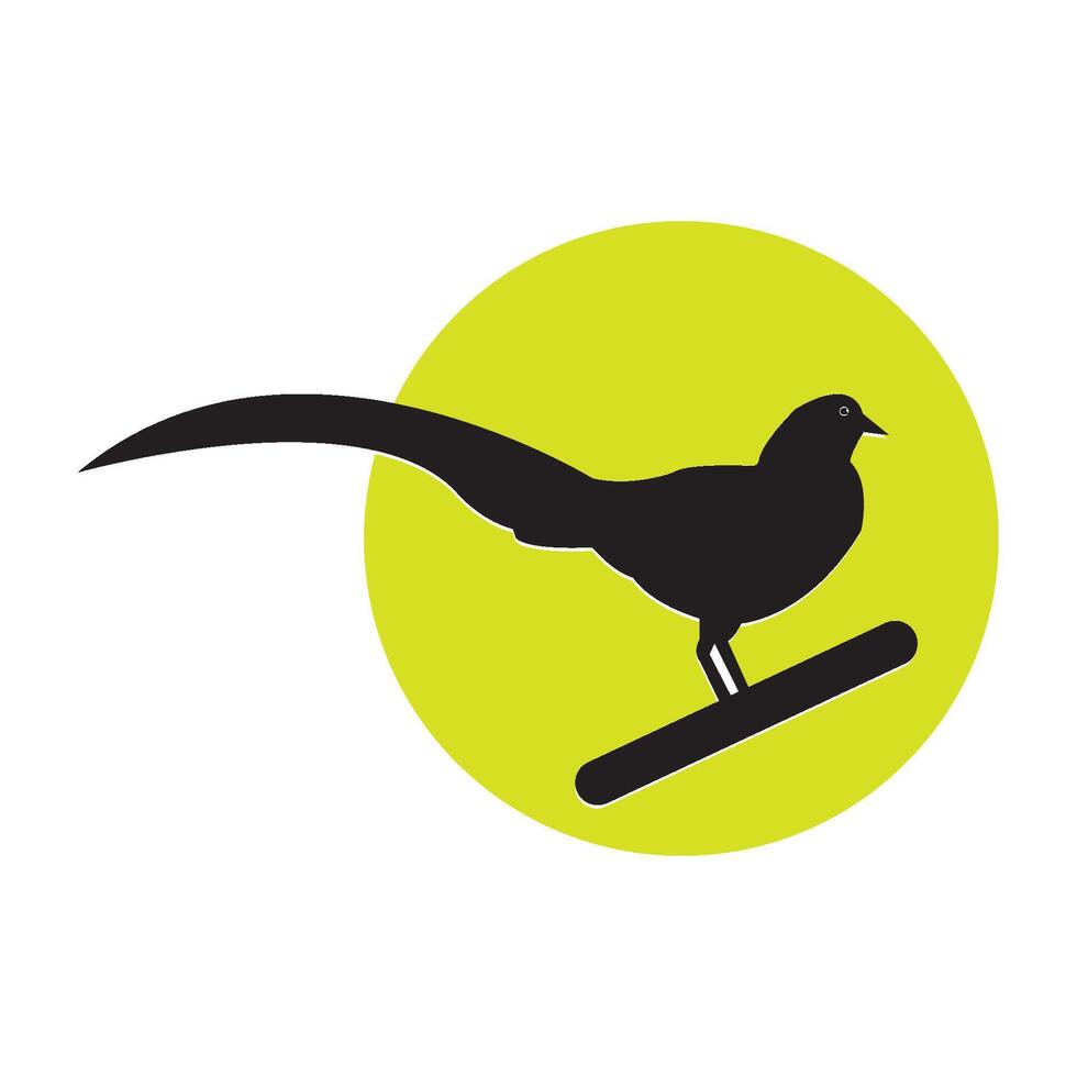 golden chinese pheasant icon vector