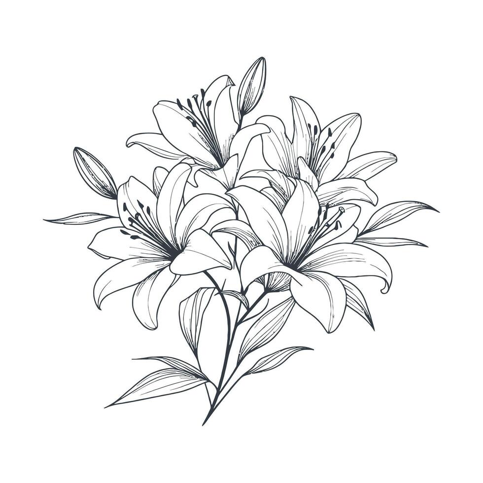 illustration of lily flowers vector