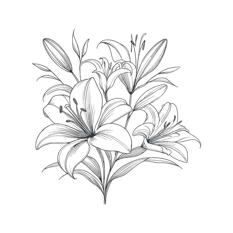 a drawing of lilies on a white background vector