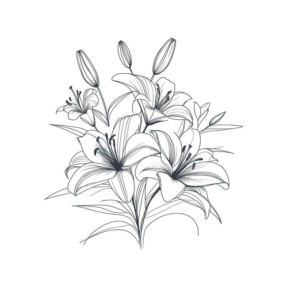 a drawing of lilies on a white background vector