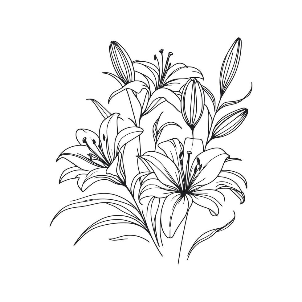 a drawing of lilies on a white background vector