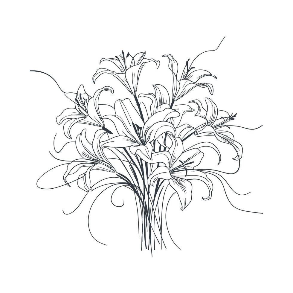 a drawing of a bouquet of lilies vector