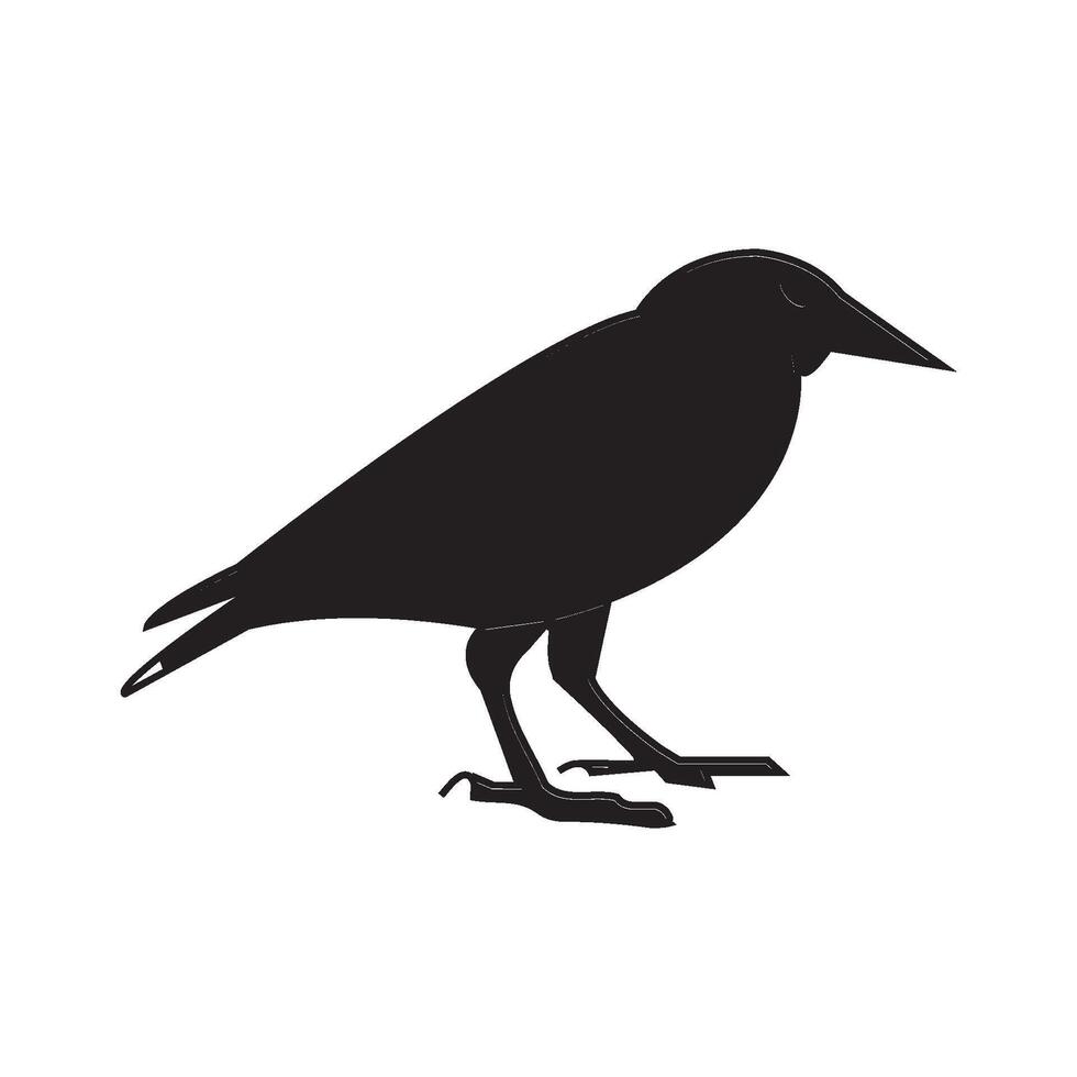 common starling icon vector