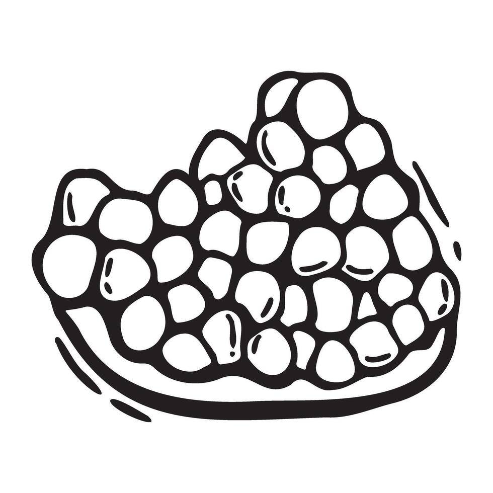 Juicy pomegranate fruit pulp with seeds. black and white hand drawn illustration in linocut style on isolated background. Drawing for design of food and drink packaging, menus, fabric, cards vector