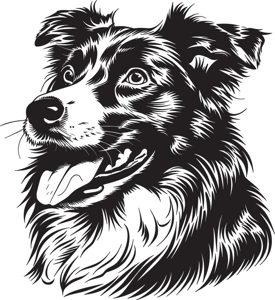 Australian Shepherd dog clipart, Australian Shepherd black vector