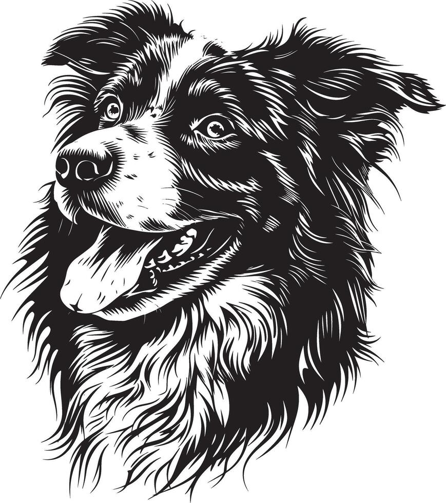 Australian Shepherd dog clipart, Australian Shepherd black vector