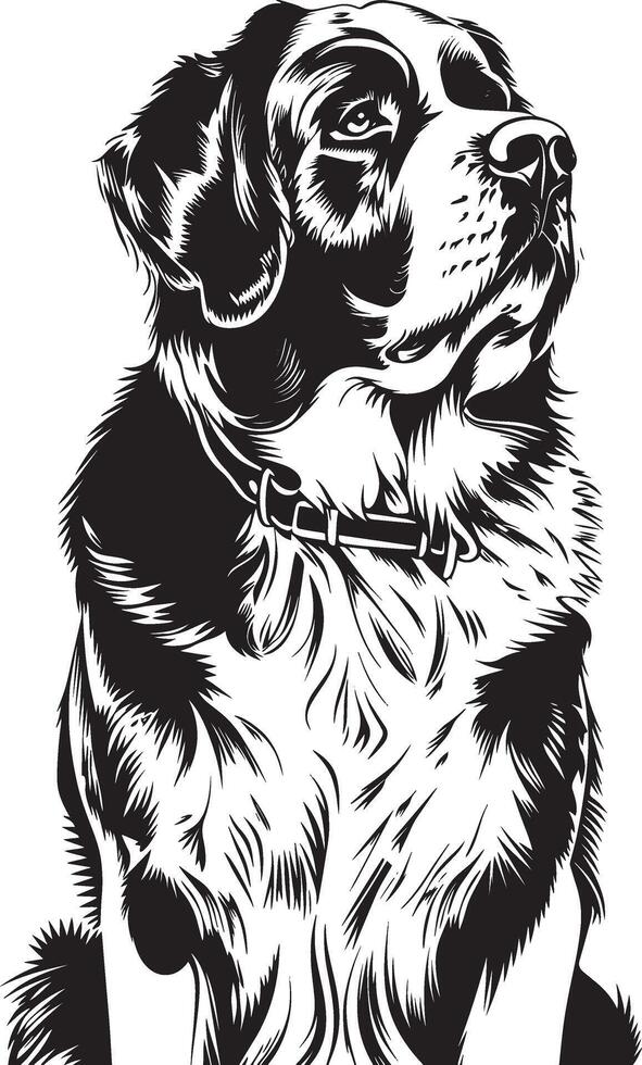 S t. Bernardo perro clipart, S t. Bernardo negro vector