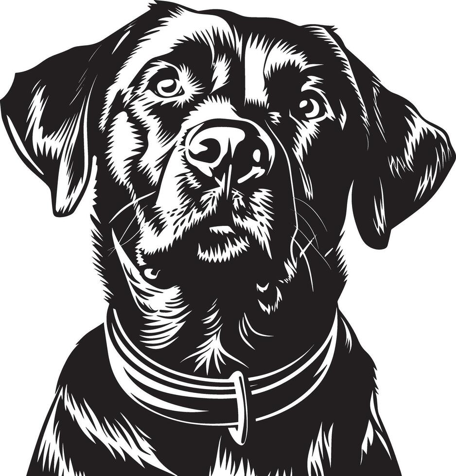 Labrador Retriever dog clipart, Labrador Retriever black vector