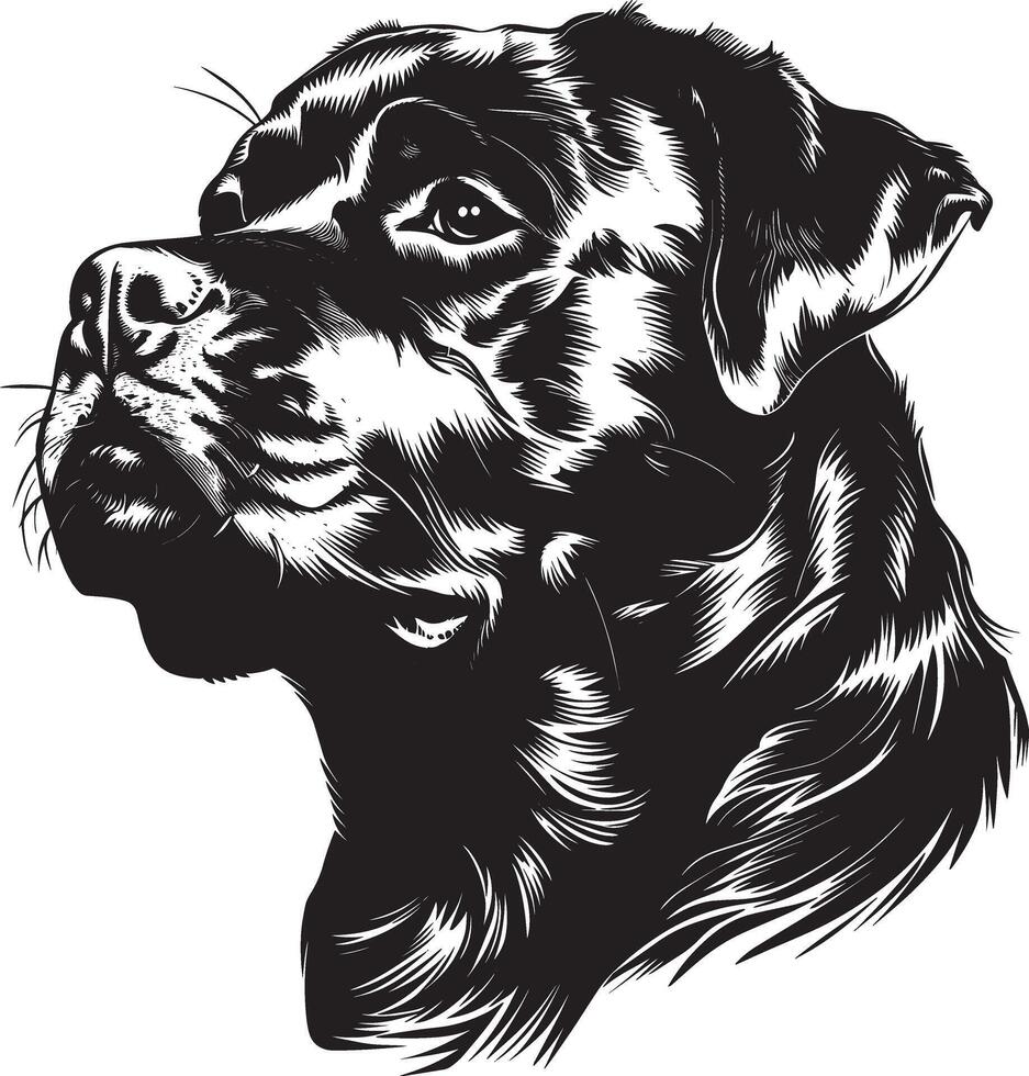 Rottweiler dog clipart, Rottweiler black vector