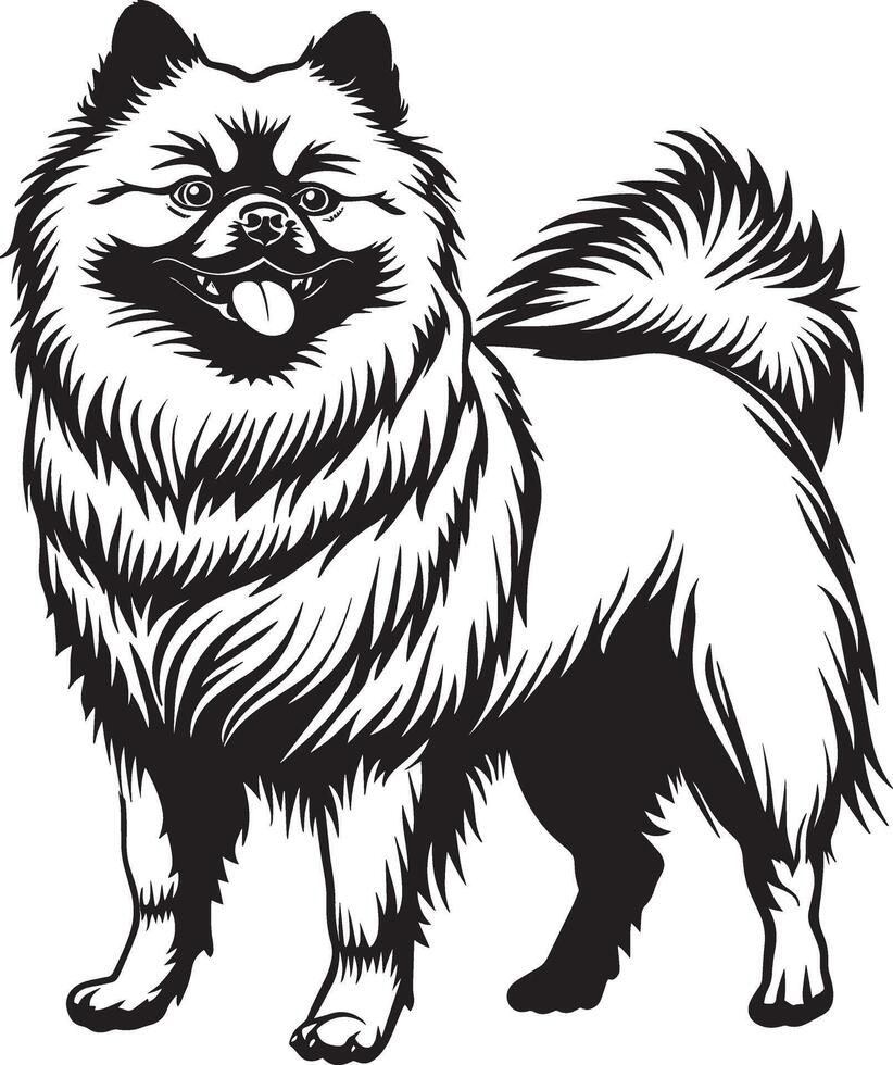 Keeshond dog clipart, Keeshond black vector