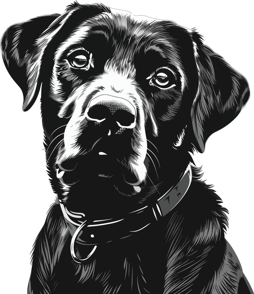 Labrador Retriever dog clipart, Labrador Retriever black vector