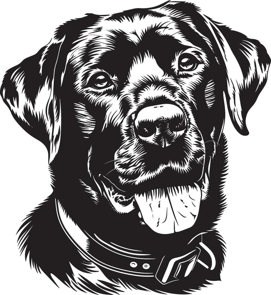 Labrador Retriever dog clipart, Labrador Retriever black vector