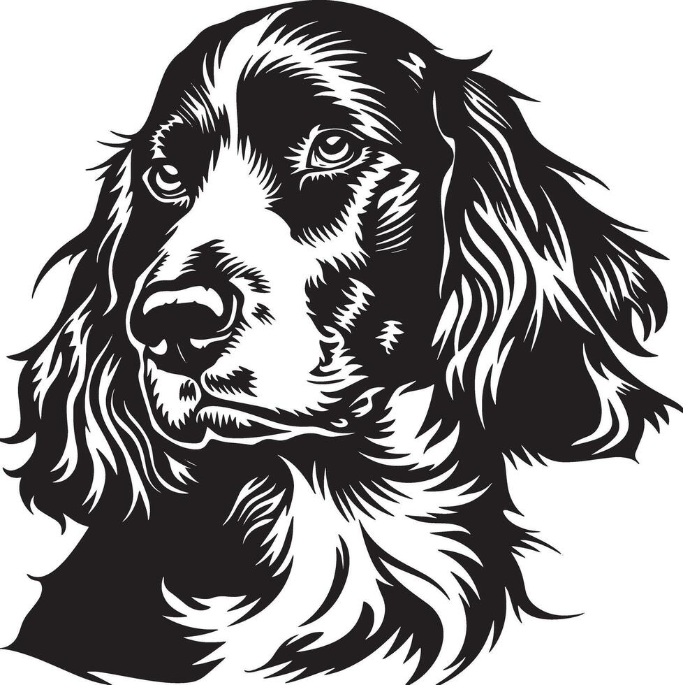 english Cocker Spaniel dog clipart, english Cocker Spaniel black vector