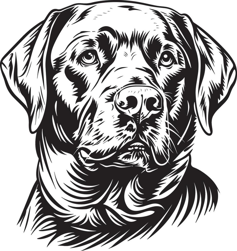 Labrador Retriever dog clipart, Labrador Retriever black vector