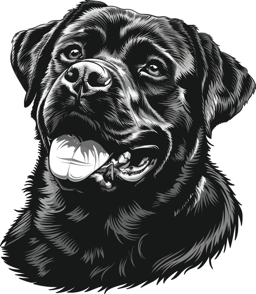 Rottweiler dog clipart, Rottweiler black vector