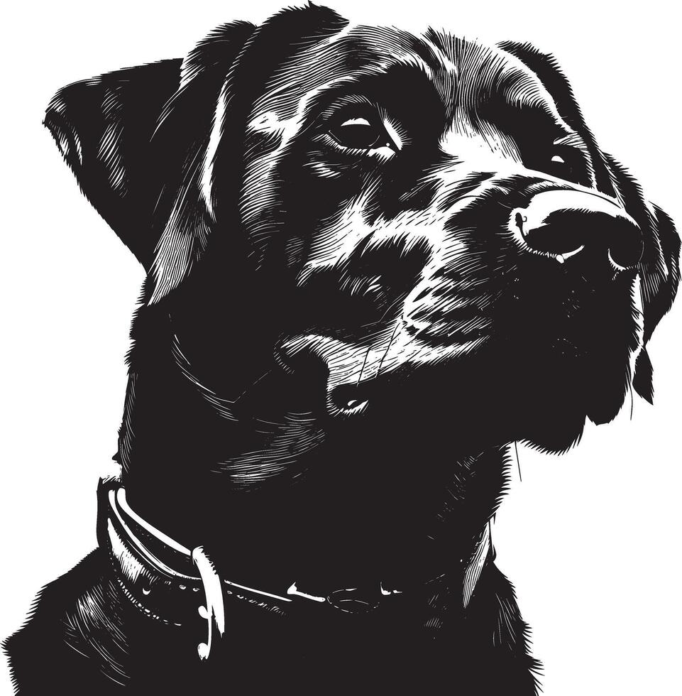 Labrador Retriever dog clipart, Labrador Retriever black vector