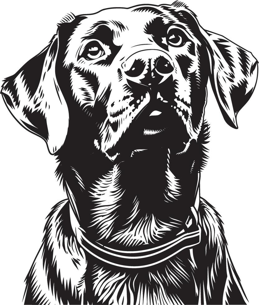 Labrador Retriever dog clipart, Labrador Retriever black vector
