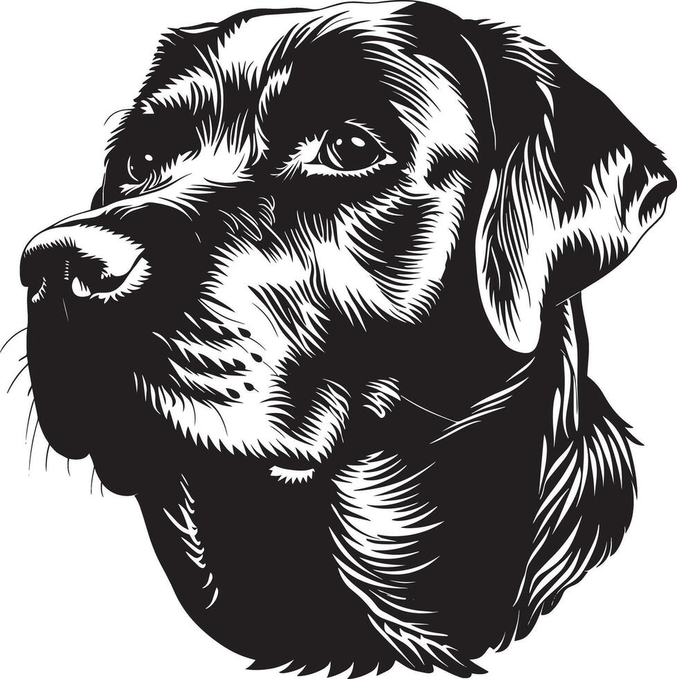 Labrador Retriever dog clipart, Labrador Retriever black vector