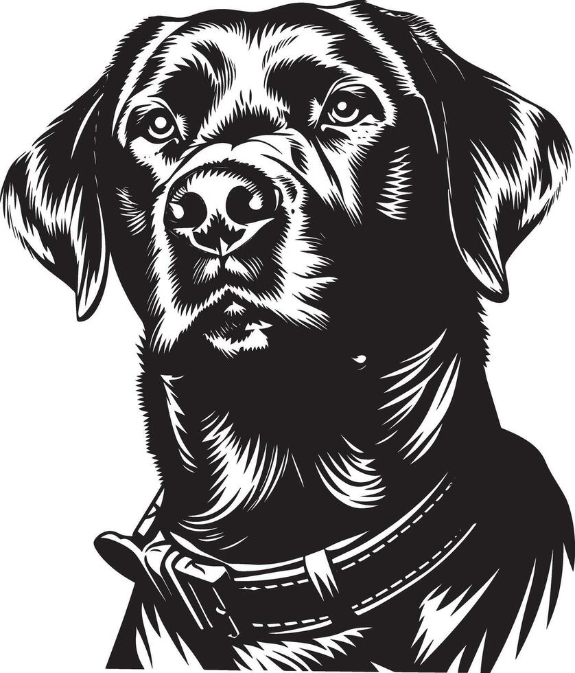 Labrador Retriever dog clipart, Labrador Retriever black vector