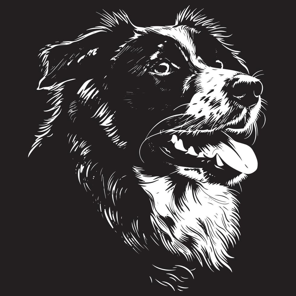 Australian Shepherd dog clipart, Australian Shepherd black vector