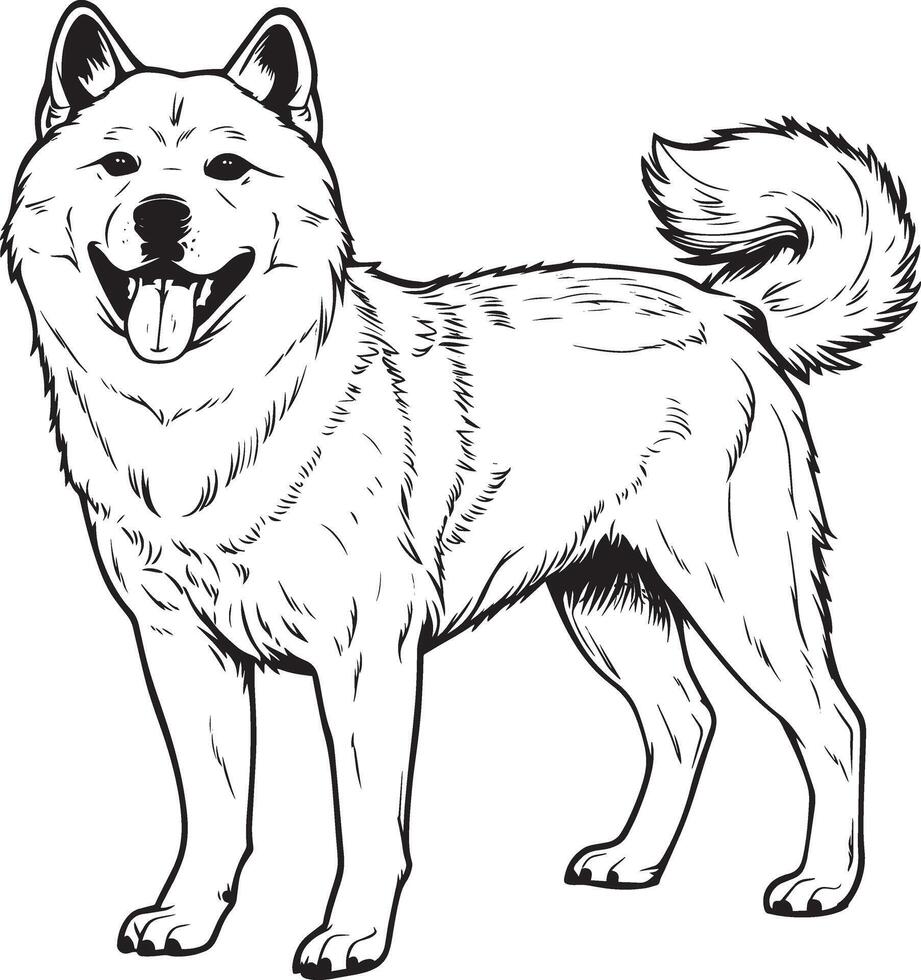 Akita dog clipart, Akita black vector
