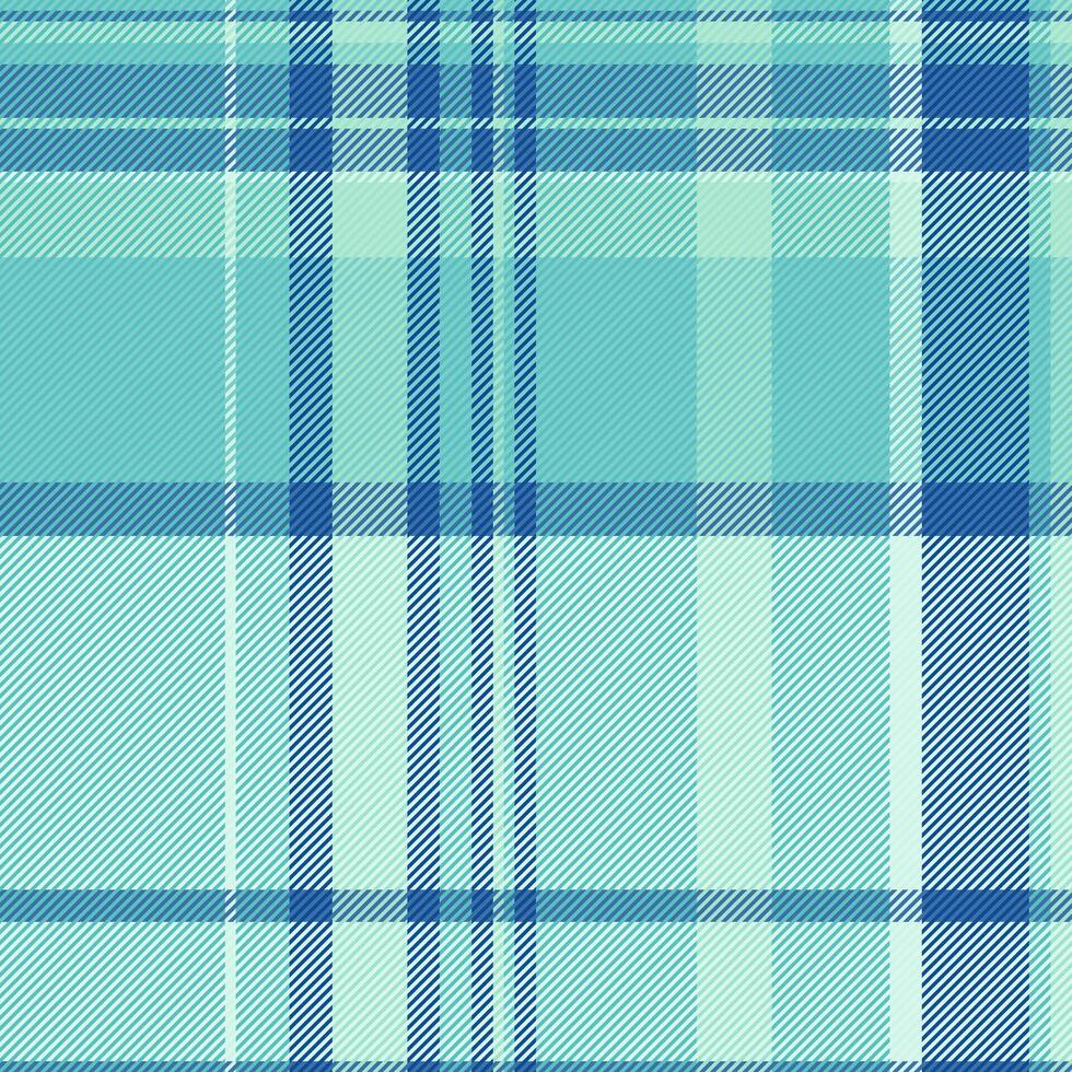 background check of tartan fabric plaid with a pattern textile seamless texture. vector