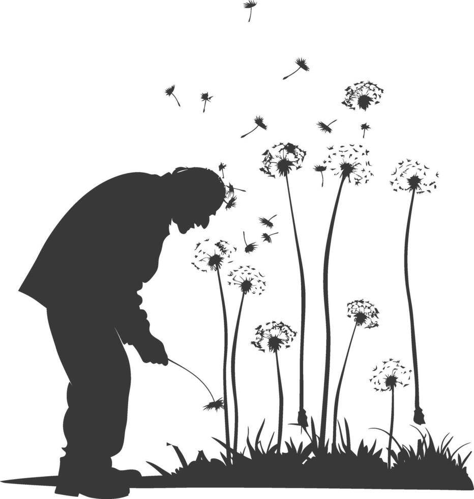 silhouette elderly man blows dandelion flower black color only vector