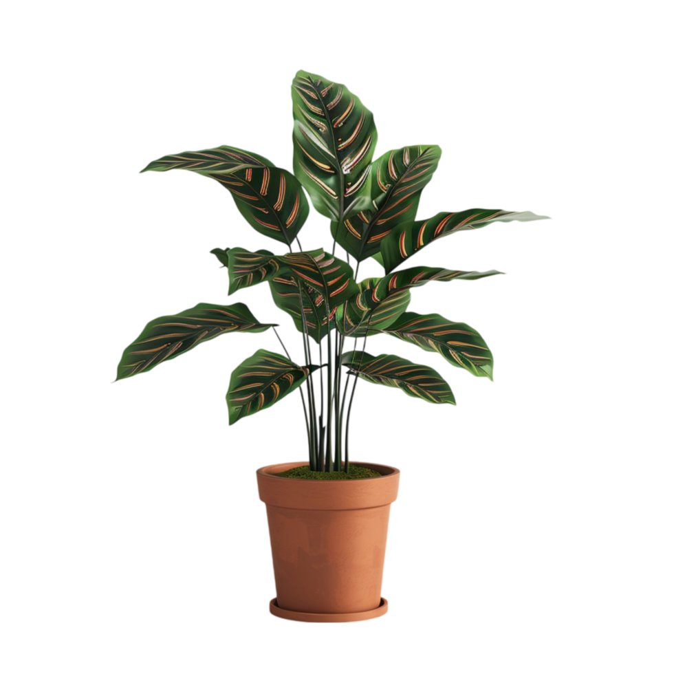 A Potted plant on transparent background. png