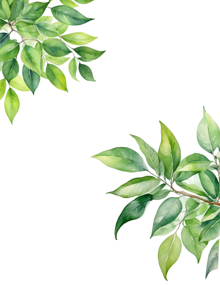 Leaves branch Clipart, rectangle frame background png