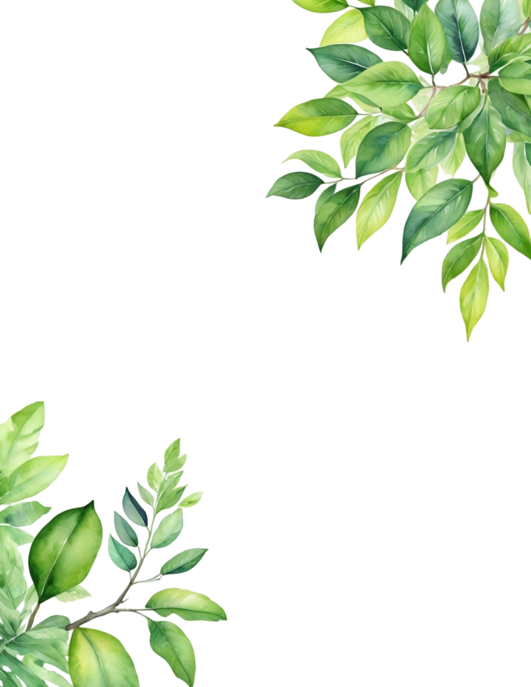 Leaves branch Clipart, rectangle frame background png