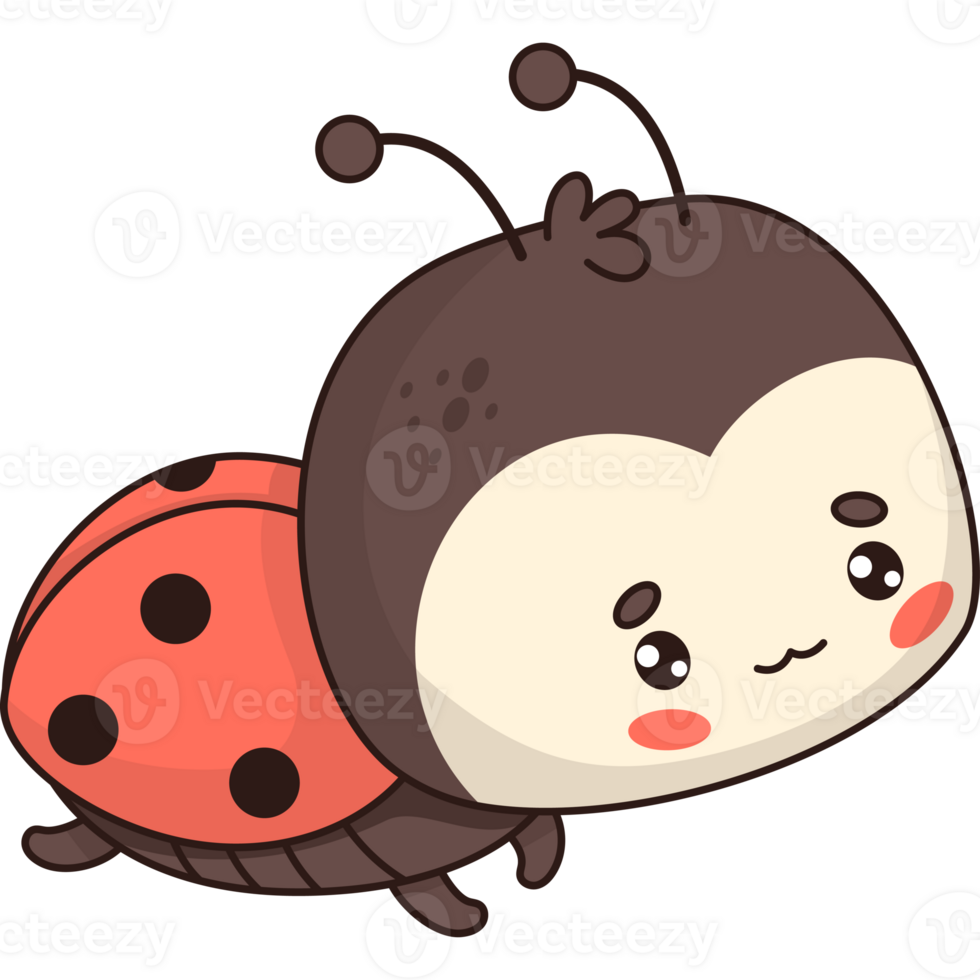 Cute insect ladybug png