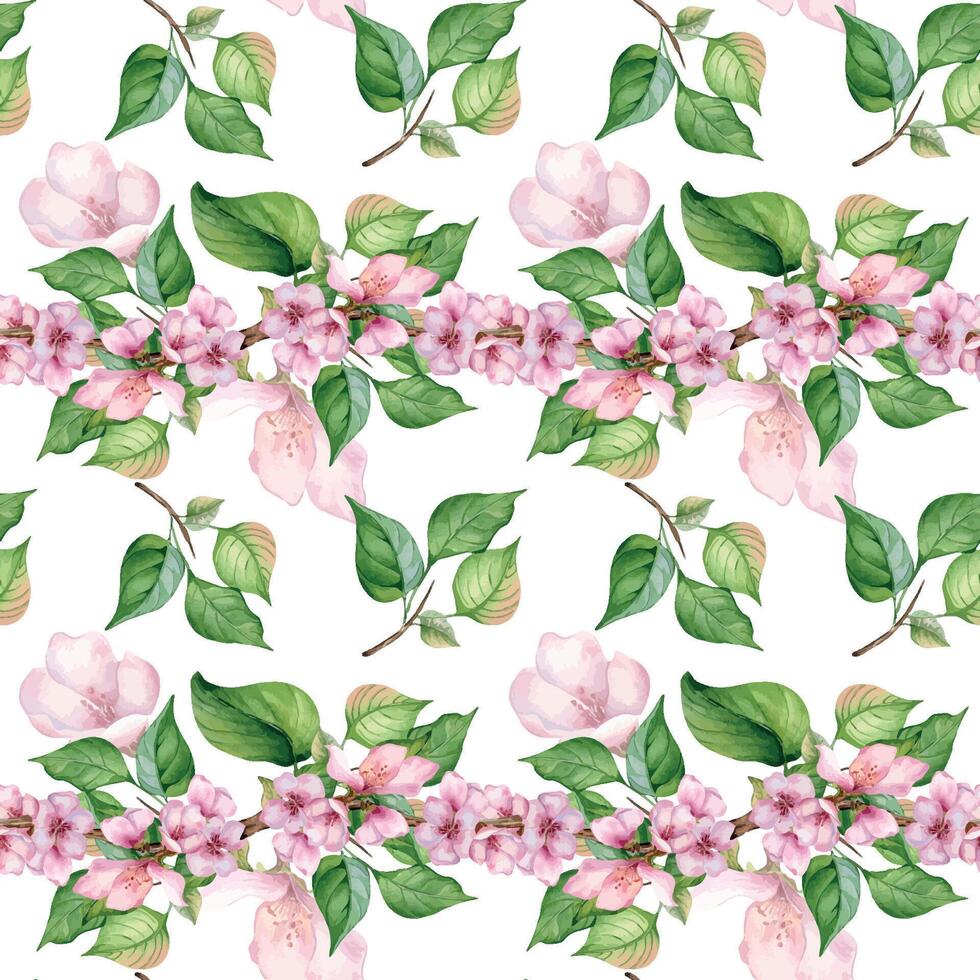 acuarela rama de Cereza árbol con rosado flores sin costura modelo aislado en blanco. florecer Fruta árbol rama mano dibujado. diseño elemento para embalaje, cosmético, fondo, fondo de pantalla, textil. vector